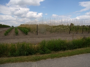 2014-06-25 KKT verk. fietsen Wetteren (12)