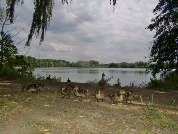 2014-06-25 KKT verk. fietsen Wetteren (20)