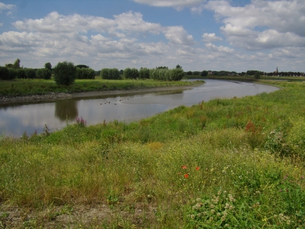 2014-06-25 KKT verk. fietsen Wetteren (6)