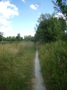 2014-06-25 KKT verk. fietsen Wetteren (7)