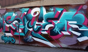 Street-art -Roeselare 2014