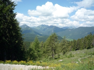 Kufstein omg. , bergwandeling Pendling alm _P1190626