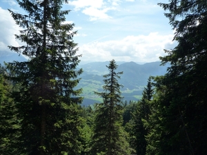 Kufstein omg. , bergwandeling Pendling alm _P1190627