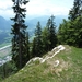 Kufstein omg. , bergwandeling Pendling alm _P1190629