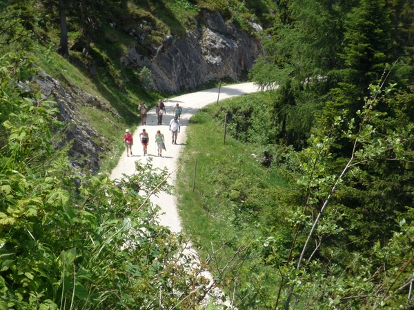 Kufstein omg. , bergwandeling Pendling alm _P1190632