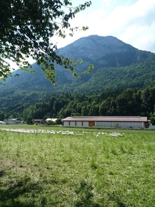 Kufstein omg. , bergwandeling Pendling alm _P1190643