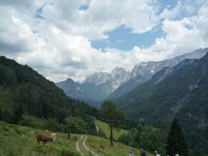 Kufstein omg. , bergwandeling Ritzau Alm _P1190716