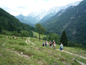 Kufstein omg. , bergwandeling Ritzau Alm _P1190717