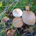 DSC00407