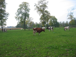 Achterkant van de Markvallei.