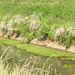 Wandeling naar Papenhofke - 10 juli 2014