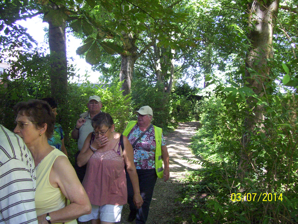 Wandeling naar Papenhofke - 10 juli 2014