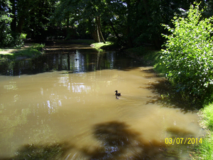 Wandeling naar Papenhofke - 10 juli 2014