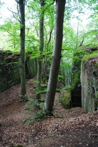 nikon  3000 802
