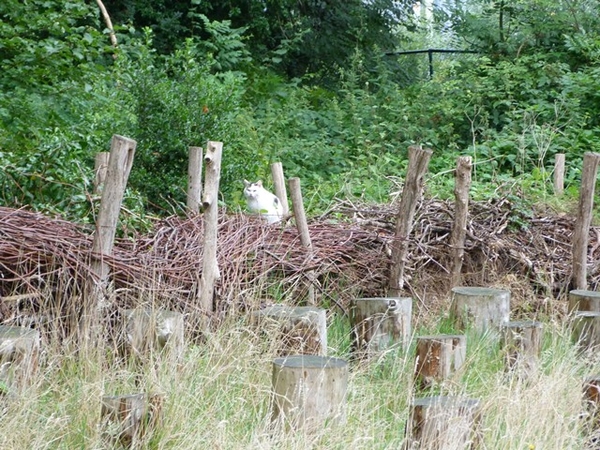 23-Domein Elzenhof-Aarschot