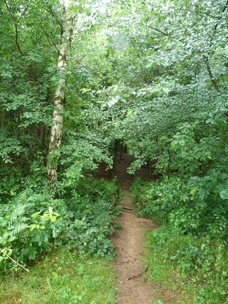 48-Kloesbos