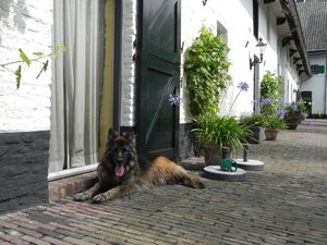 voor de kamervenster