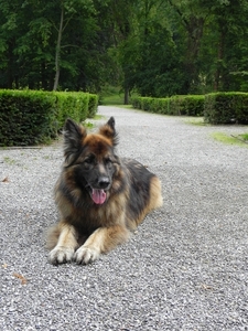 een mooie dame in het kasteelpark