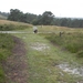 Brunssummerheide