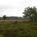 Brunssummerheide