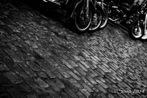 IMG_2705