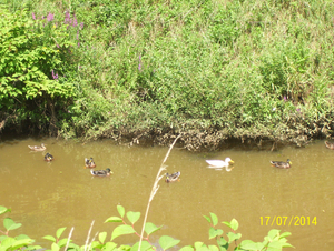 Wandeling naar Tivoli - 17 juli 2014