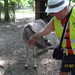 Wandeling naar Tivoli - 17 juli 2014