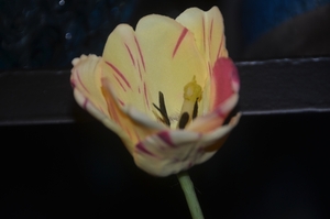 071