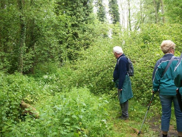 038-Willy als parcourmeester alles nakijken...