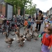 147  Turnhout 11 juli 2014 - Spelen op de Grote Markt