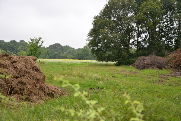 168  Oud Turnhout 12 juli 2014 - Natuurdomein De Liereman