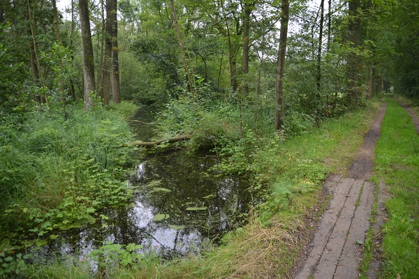 169  Oud Turnhout 12 juli 2014 - Natuurdomein De Liereman