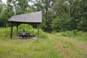 171  Oud Turnhout 12 juli 2014 - Natuurdomein De Liereman