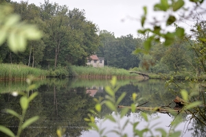 175  Oud Turnhout 12 juli 2014 - Natuurdomein De Liereman