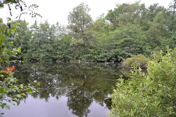 177  Oud Turnhout 12 juli 2014 - Natuurdomein De Liereman