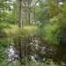 178  Oud Turnhout 12 juli 2014 - Natuurdomein De Liereman