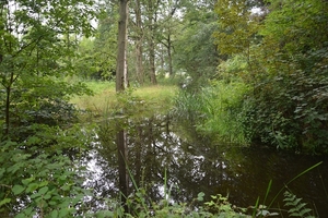 178  Oud Turnhout 12 juli 2014 - Natuurdomein De Liereman