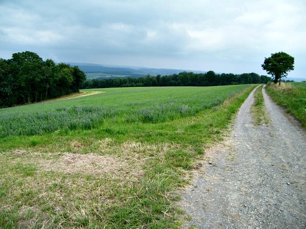 marche adeps feschaux