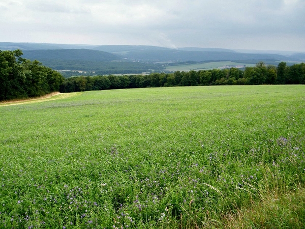 marche adeps feschaux