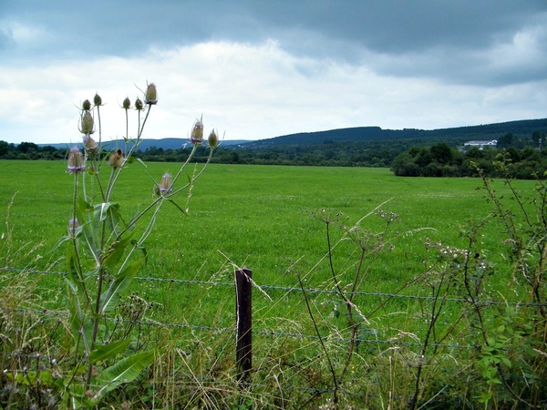marche adeps feschaux