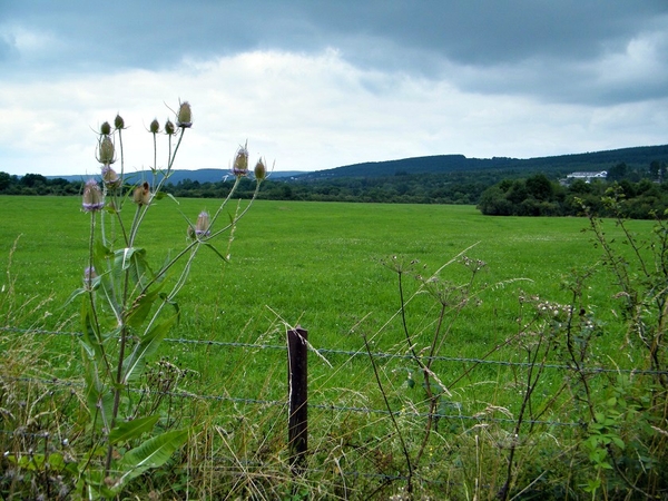 marche adeps feschaux