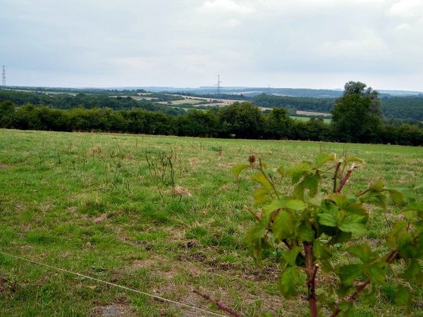 marche adeps feschaux