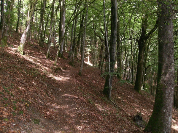 Rochehaut Juli 2014 012