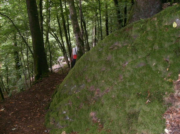 Rochehaut Juli 2014 014