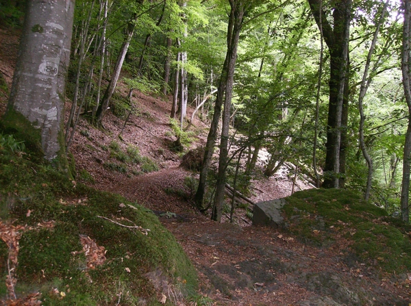 Rochehaut Juli 2014 015