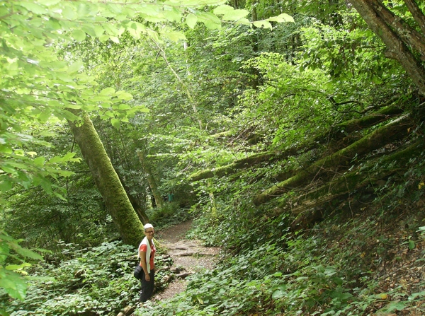 Rochehaut Juli 2014 016