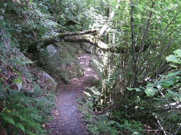 Rochehaut Juli 2014 022