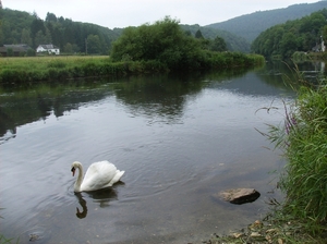 Rochehaut Juli 2014 053