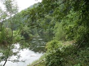 Rochehaut Juli 2014 059