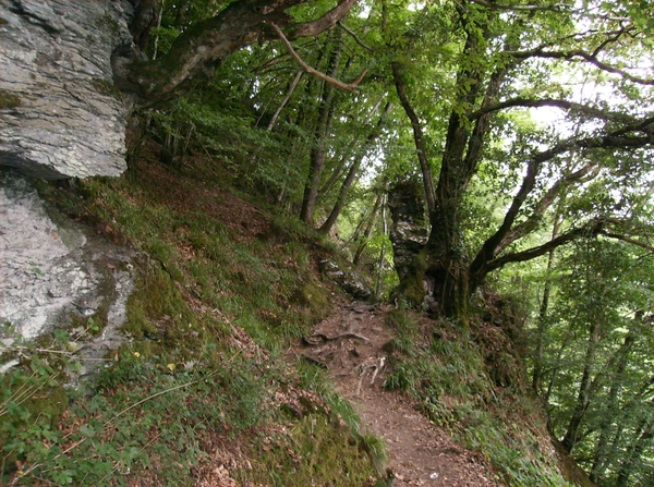 Rochehaut Juli 2014 060